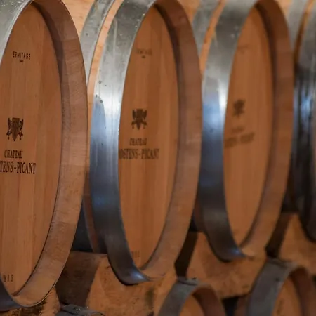 Luxury In Chateau Hostens-picant Vineyard * Les Lèves-et-Thoumeyragues